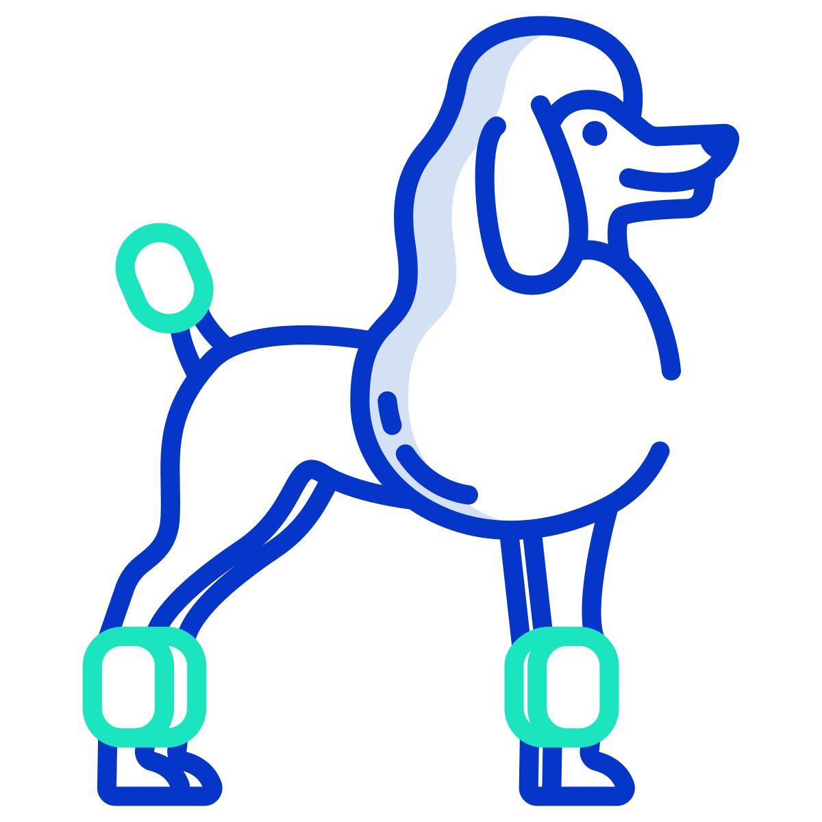french poodle icon