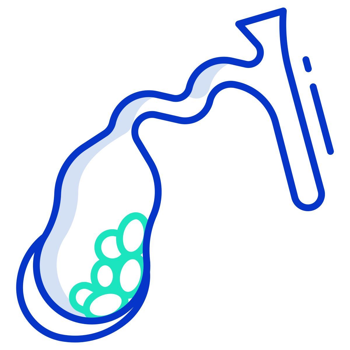 gallbladder disease icon