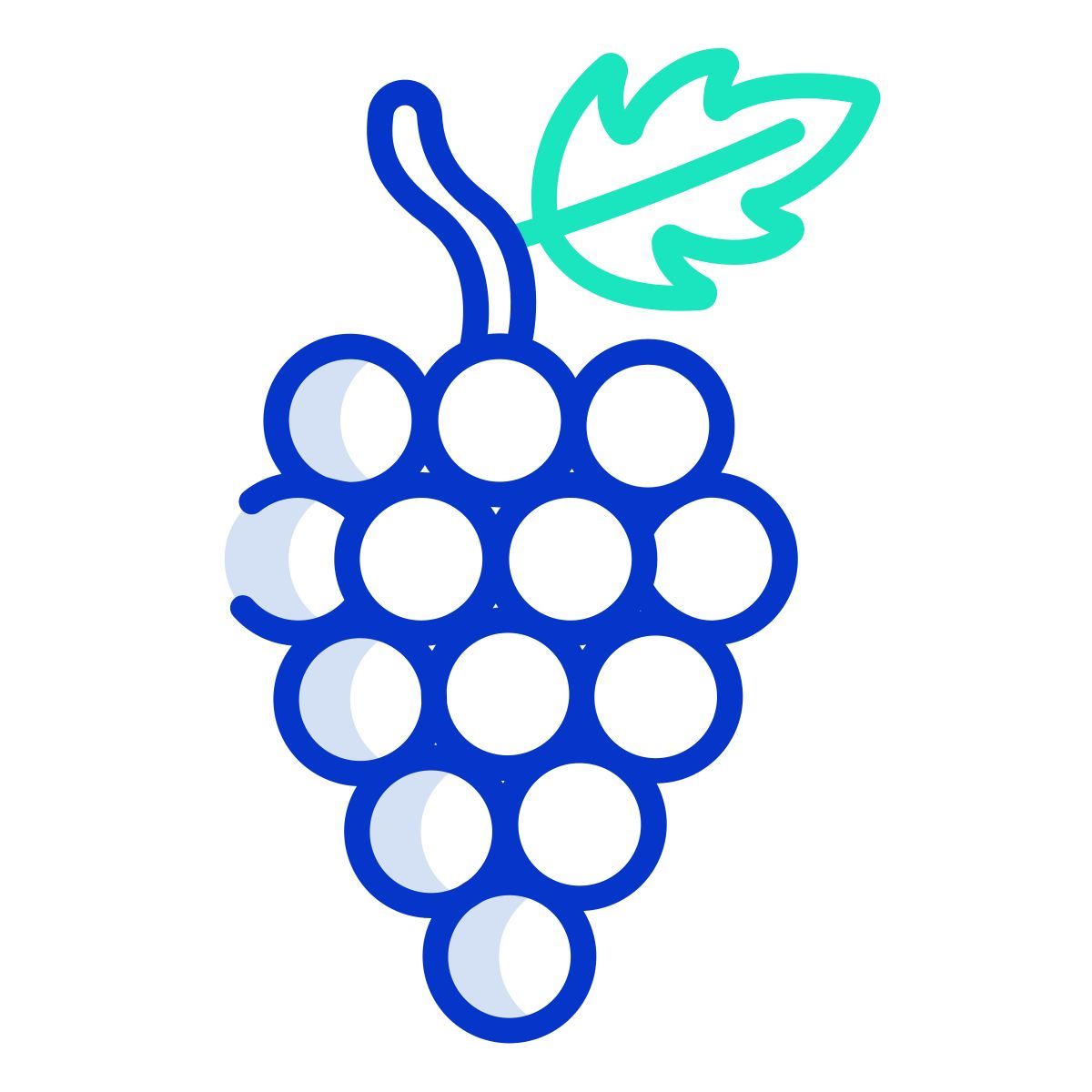 grapes icon