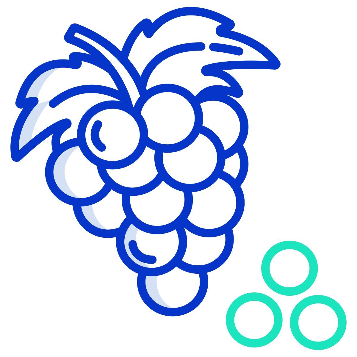 grapes icon