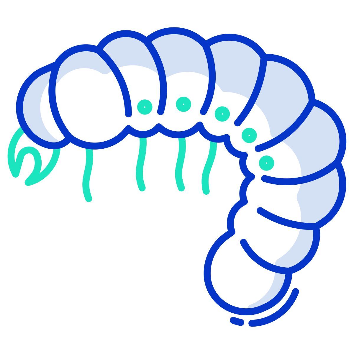 Larva de minhoca icon
