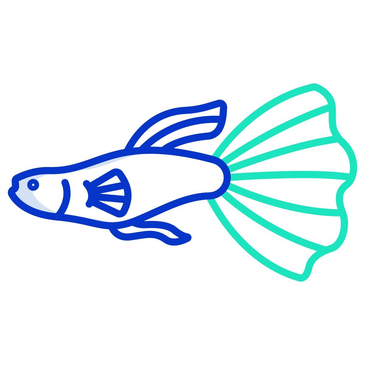 guppy fish icon