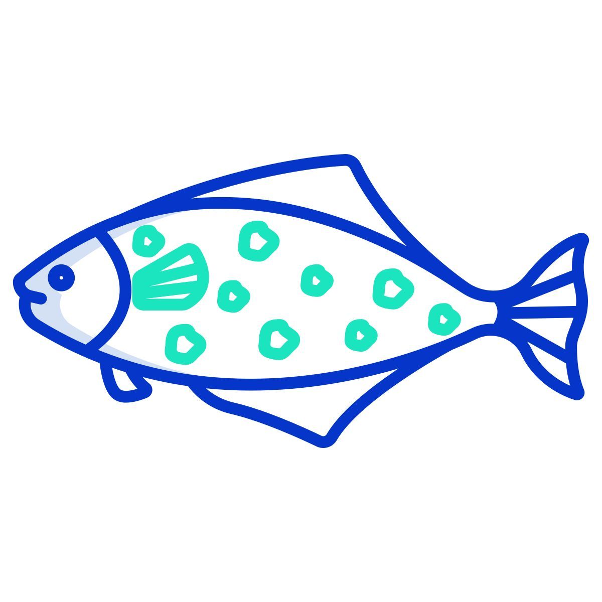 hailbut fish icon