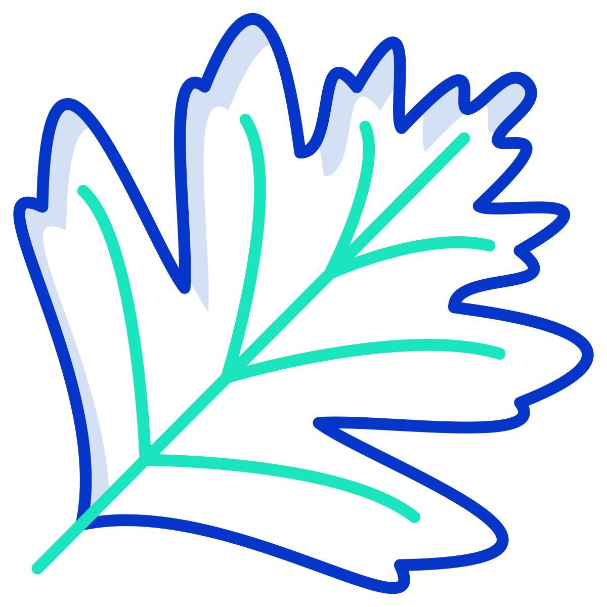 hawthorn leaf icon