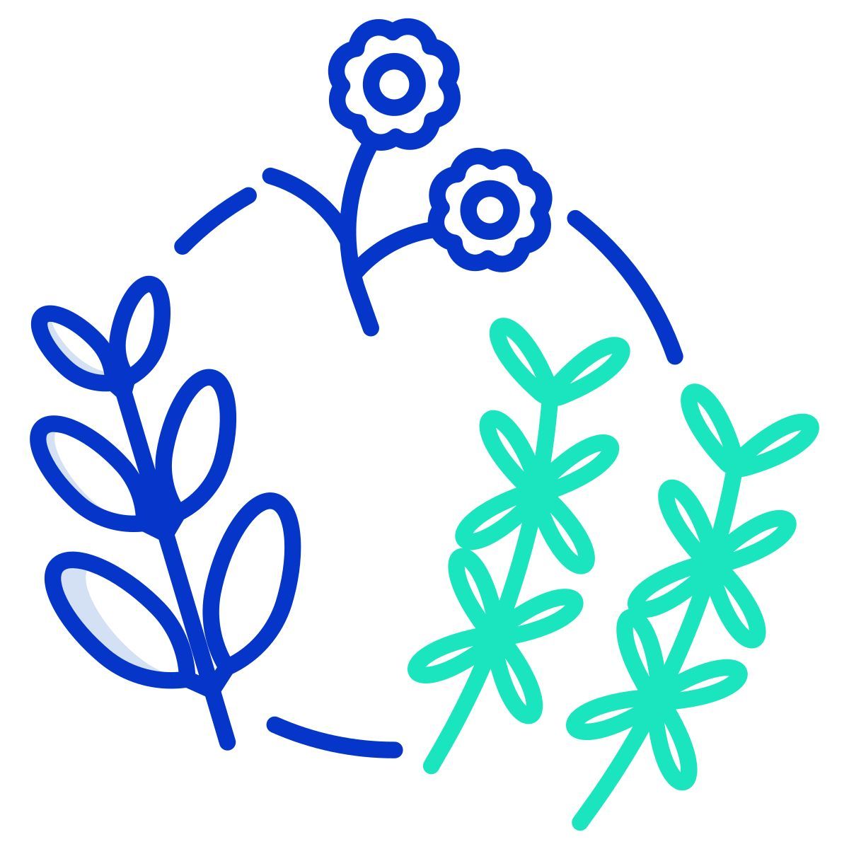 herbs icon