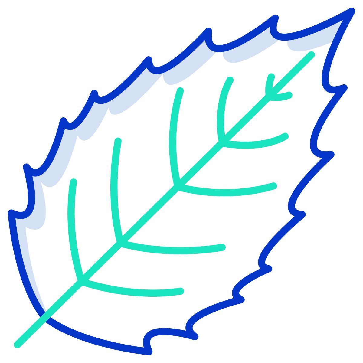 holly leaf icon