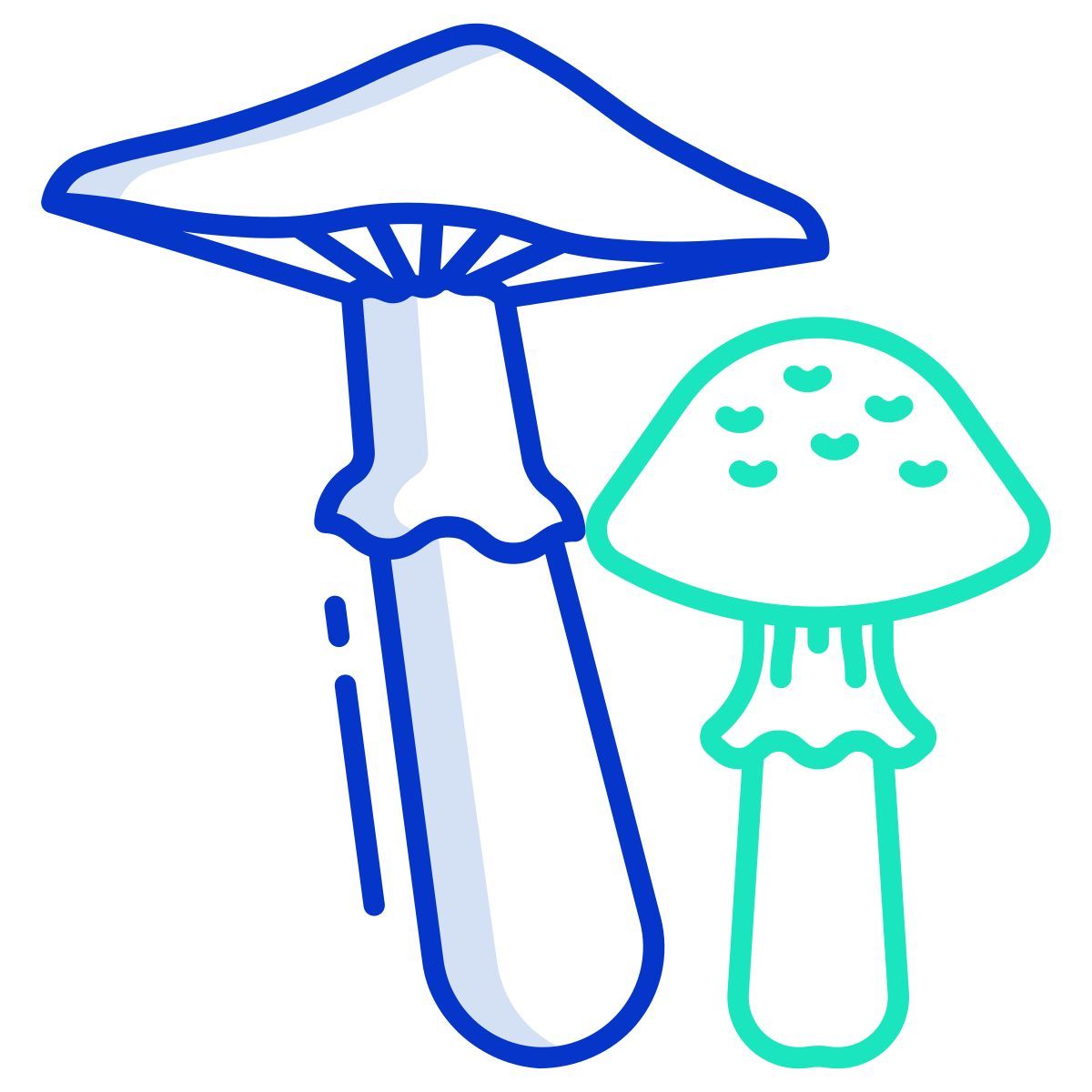 Agarico del miele icon