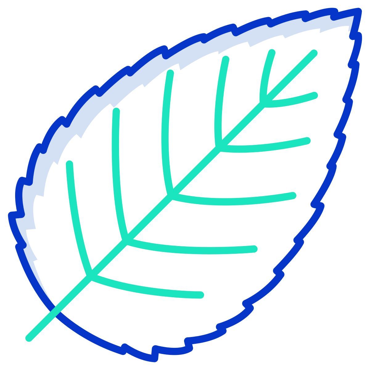 hornbeam leaf icon