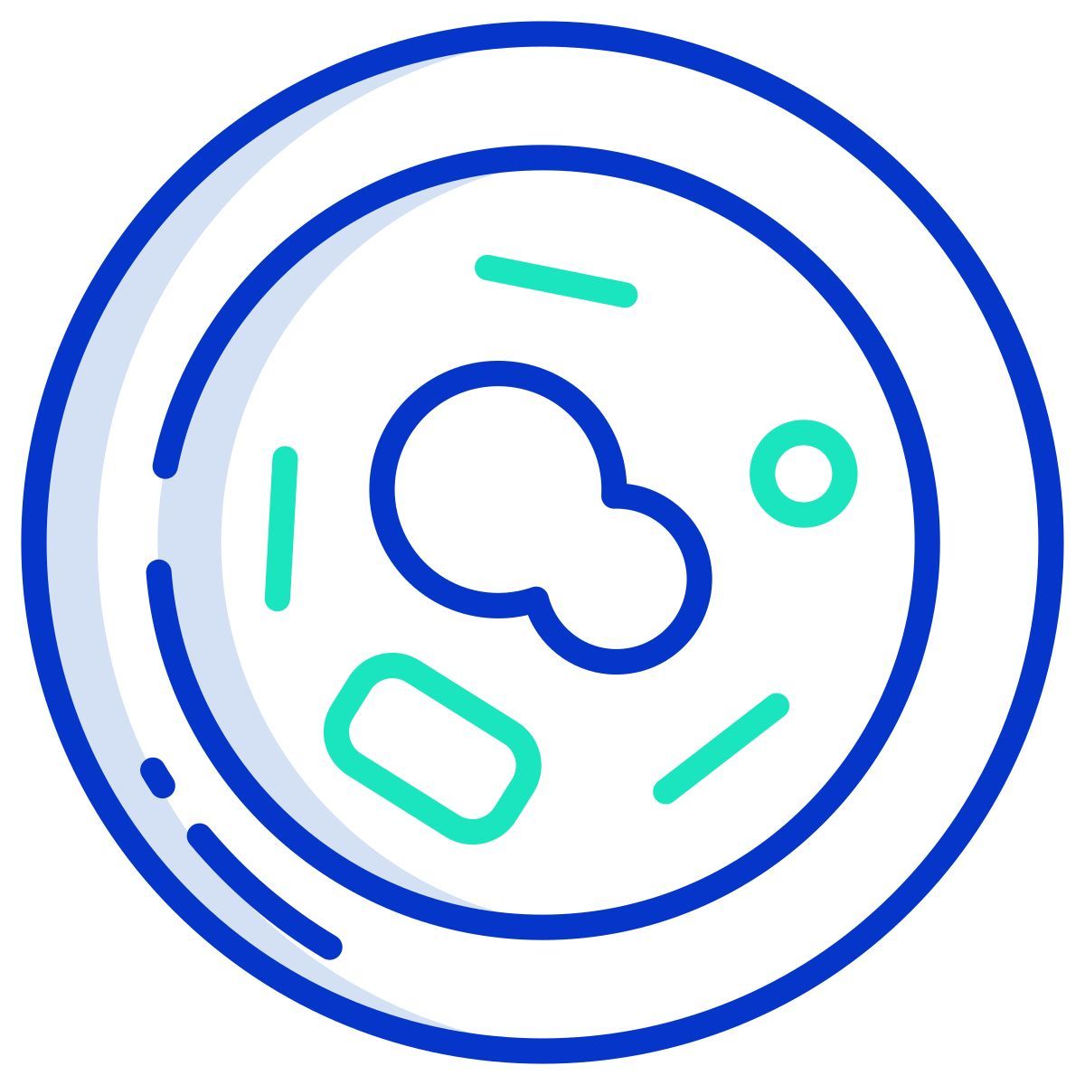 human body anatomy icon