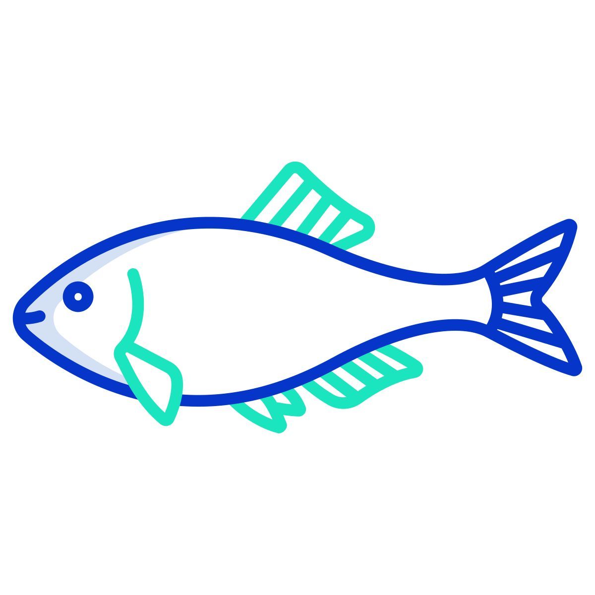 japanese bitterling fish icon