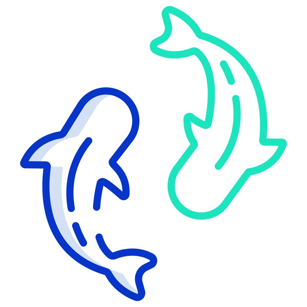 锦鲤 icon