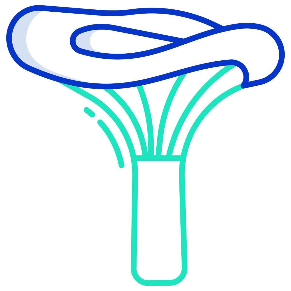 lactarius deliciosus icon