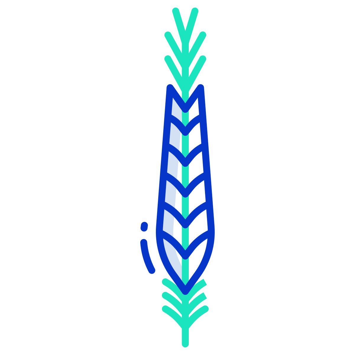 lady amherst pheasant feather icon