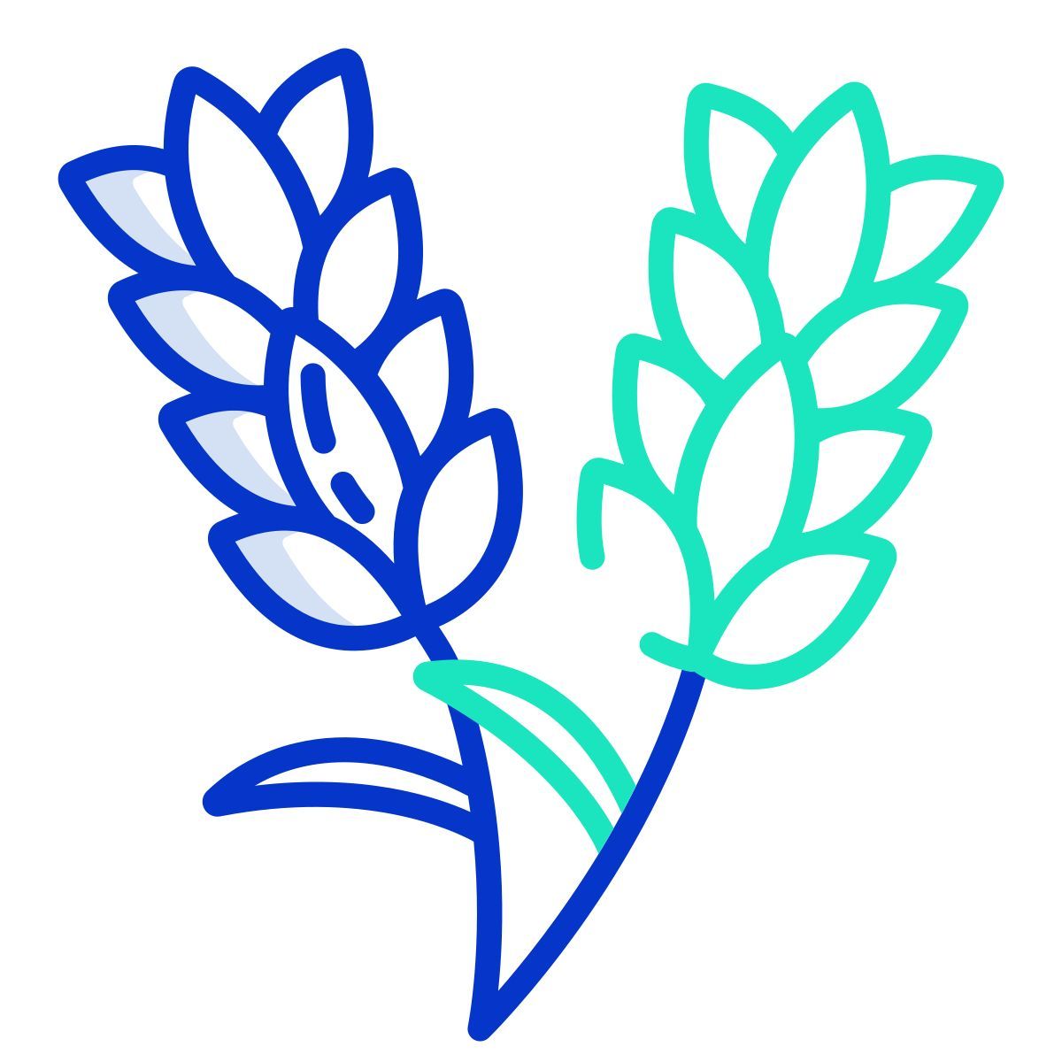 lavender icon
