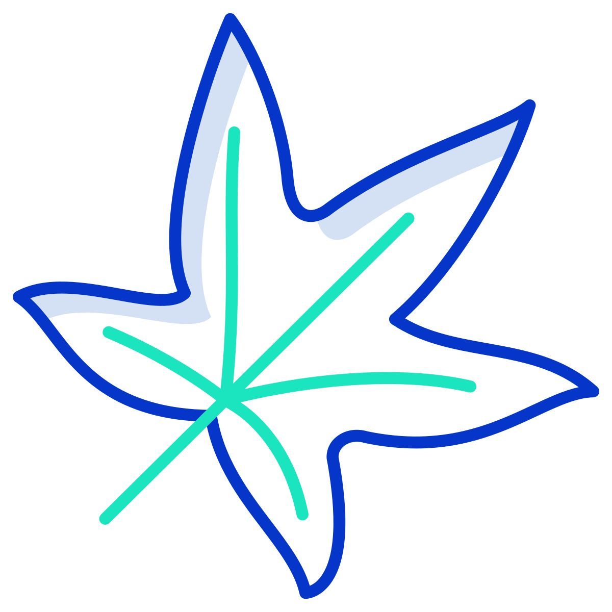 liquidambar leaf icon