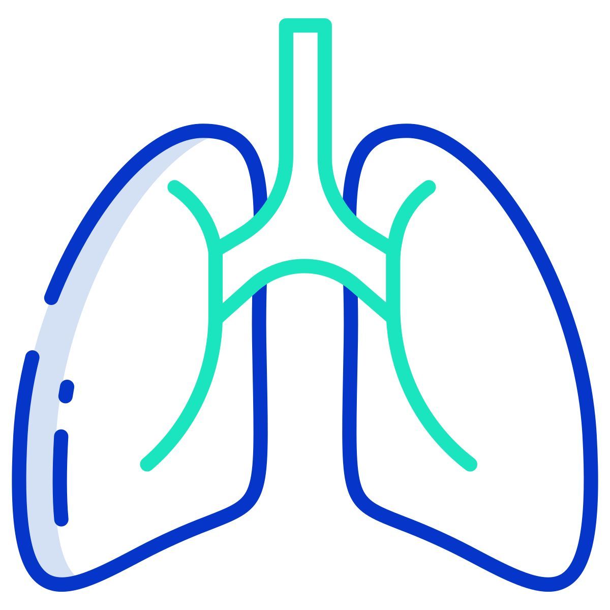 lungs icon