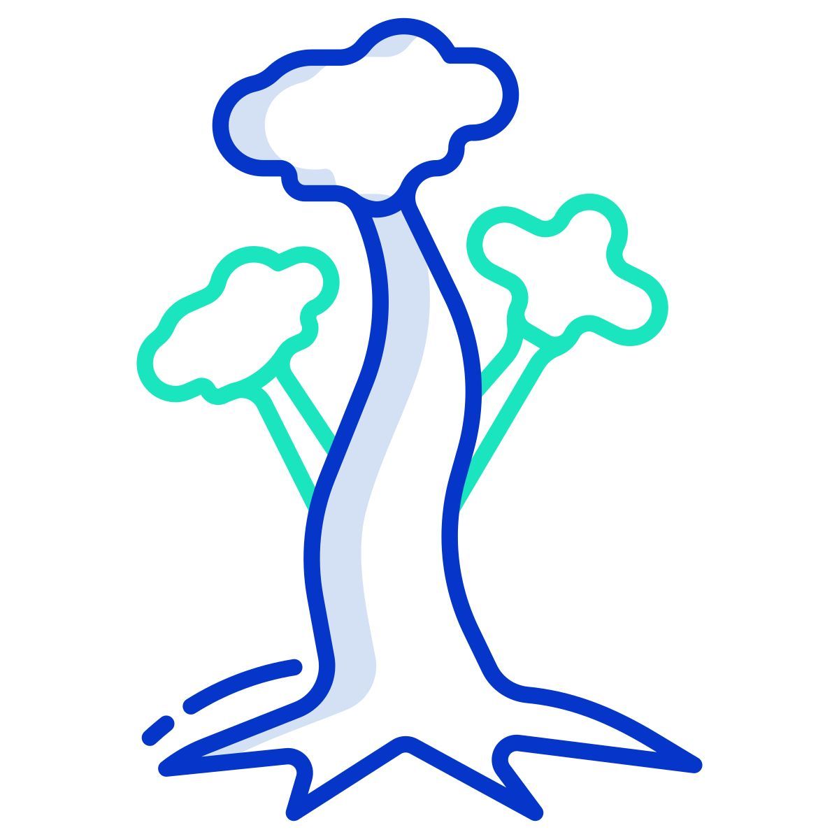 maple icon