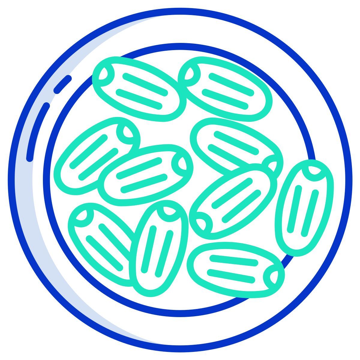 medjool icon