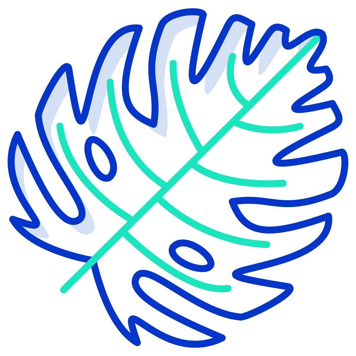 monstera leaf icon