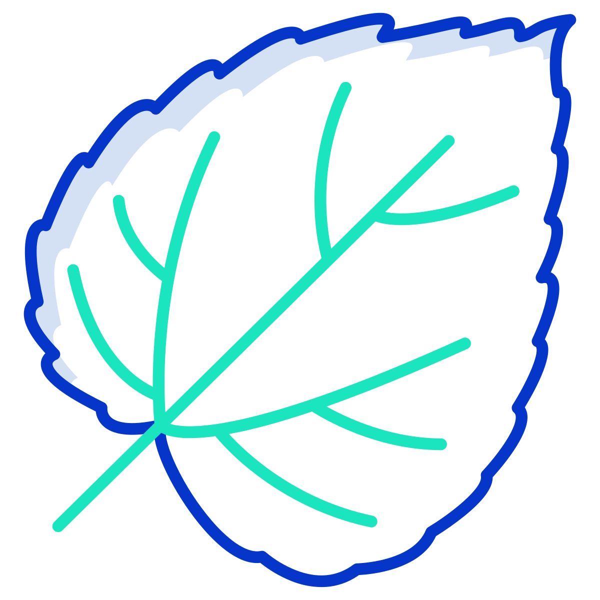 mulberry leaf icon