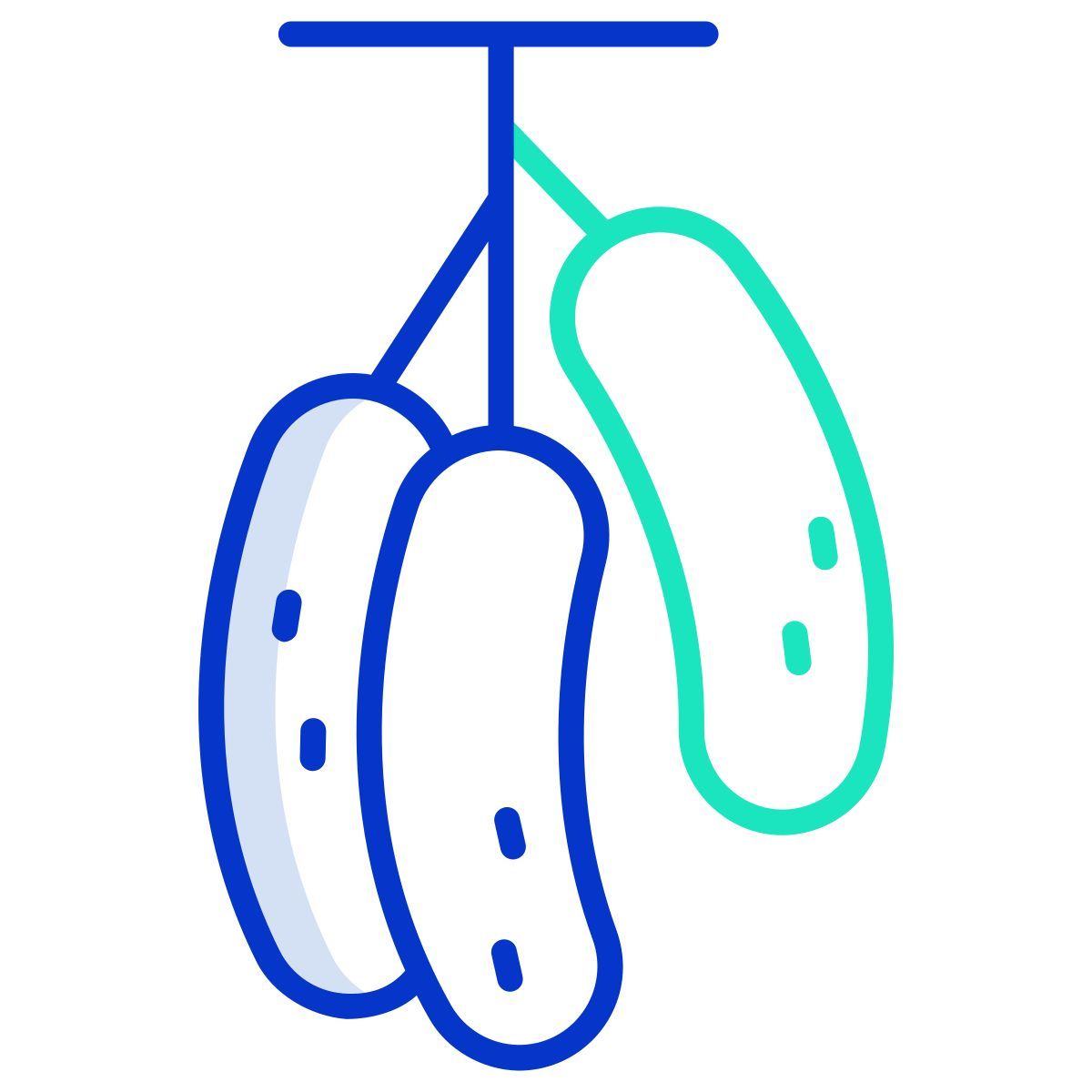 muratina fruits icon