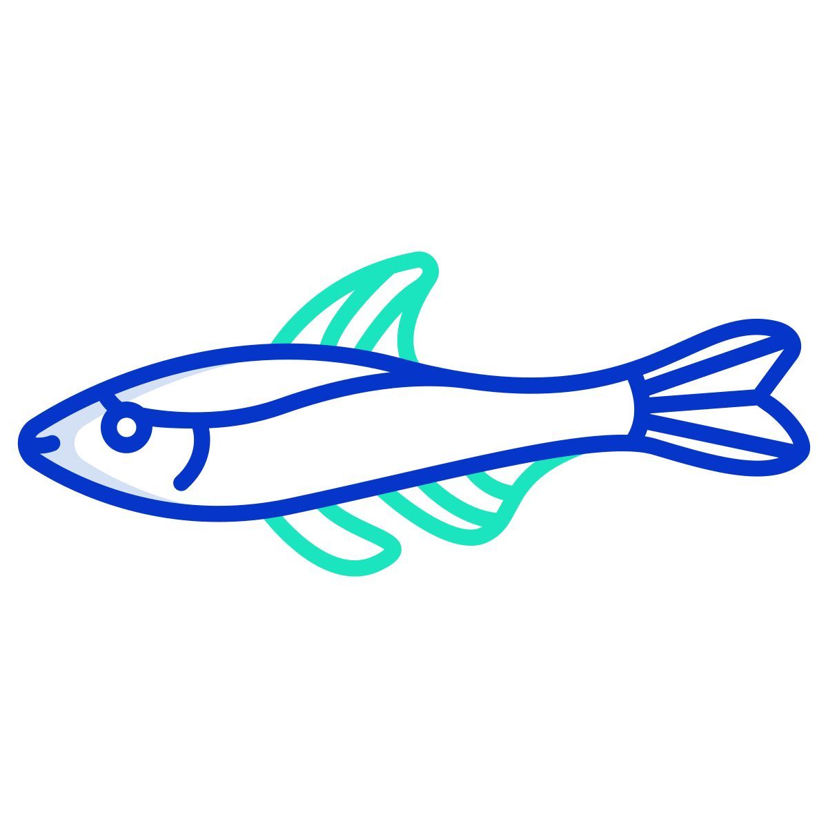 neon tetra fish icon