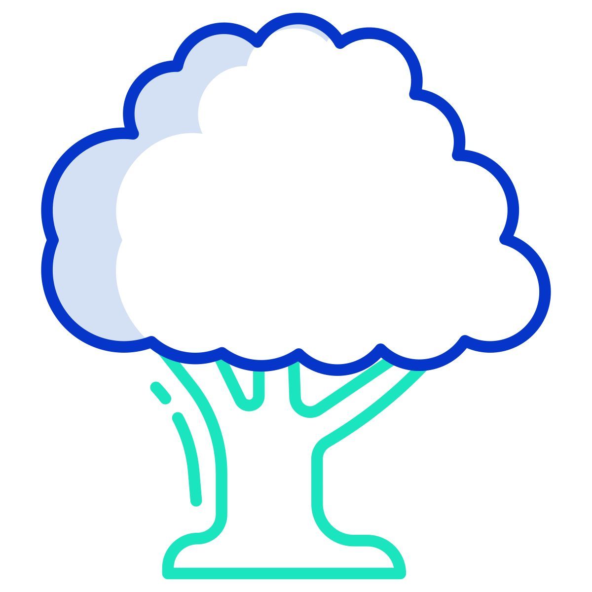 oak icon
