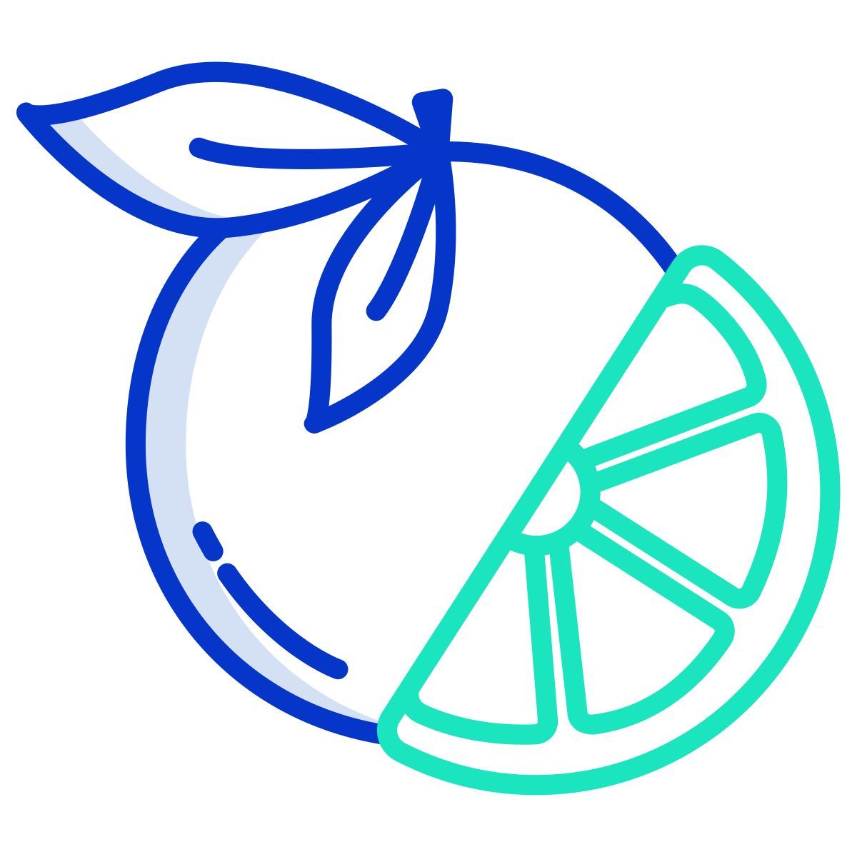 orange icon