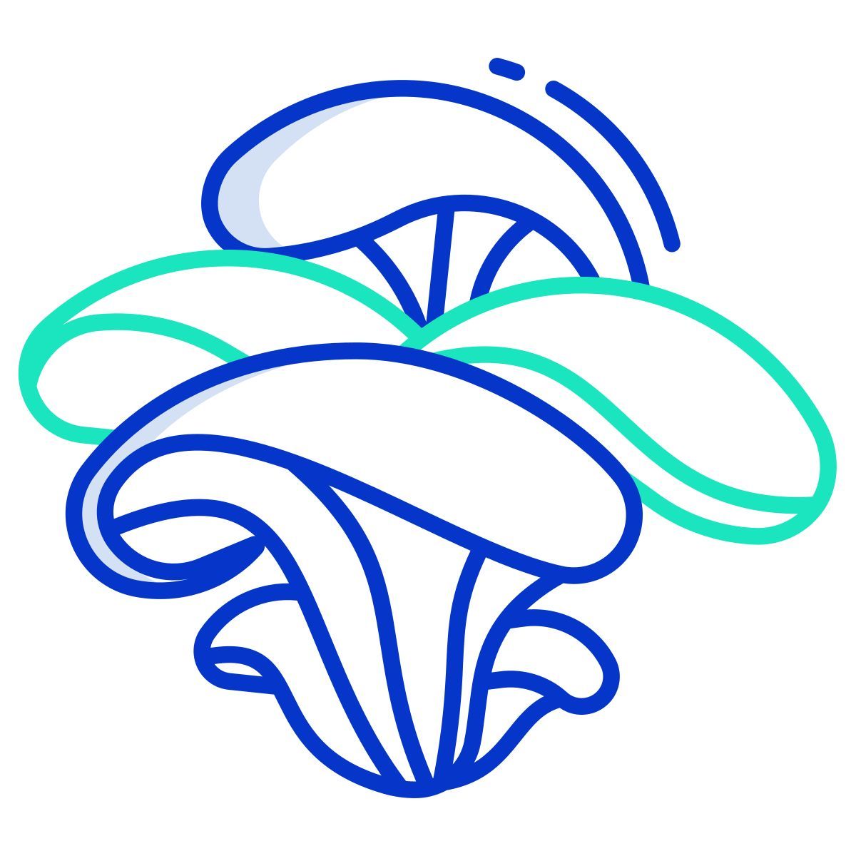 oyster mushrooms icon