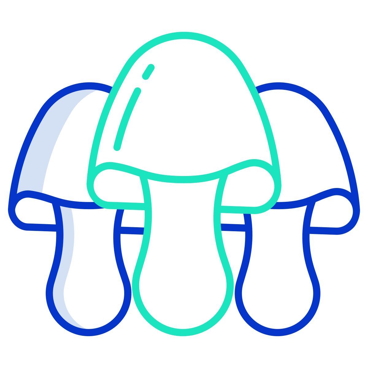 paddy straw mushrooms icon