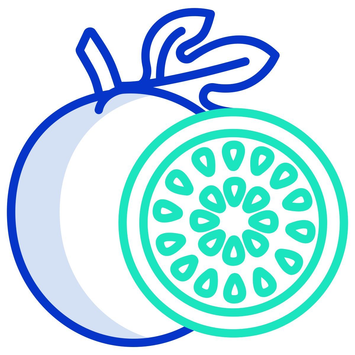 passion fruit icon