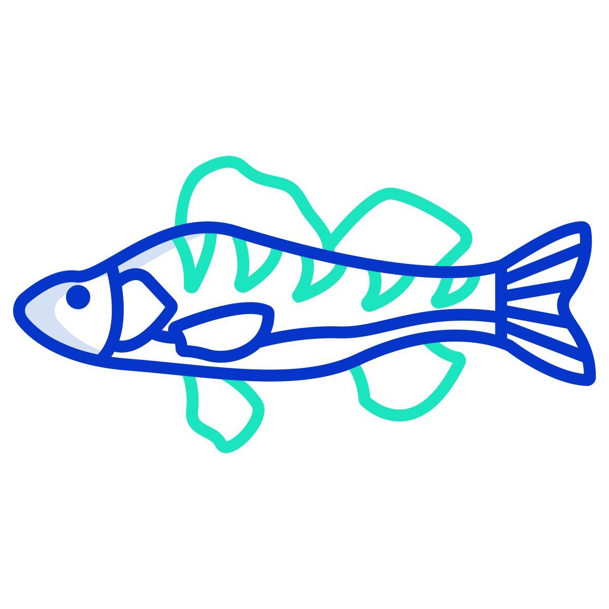perch fish icon