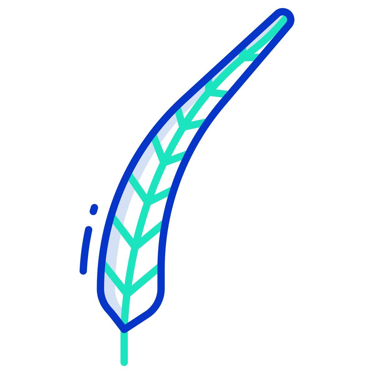 pheasant feather icon