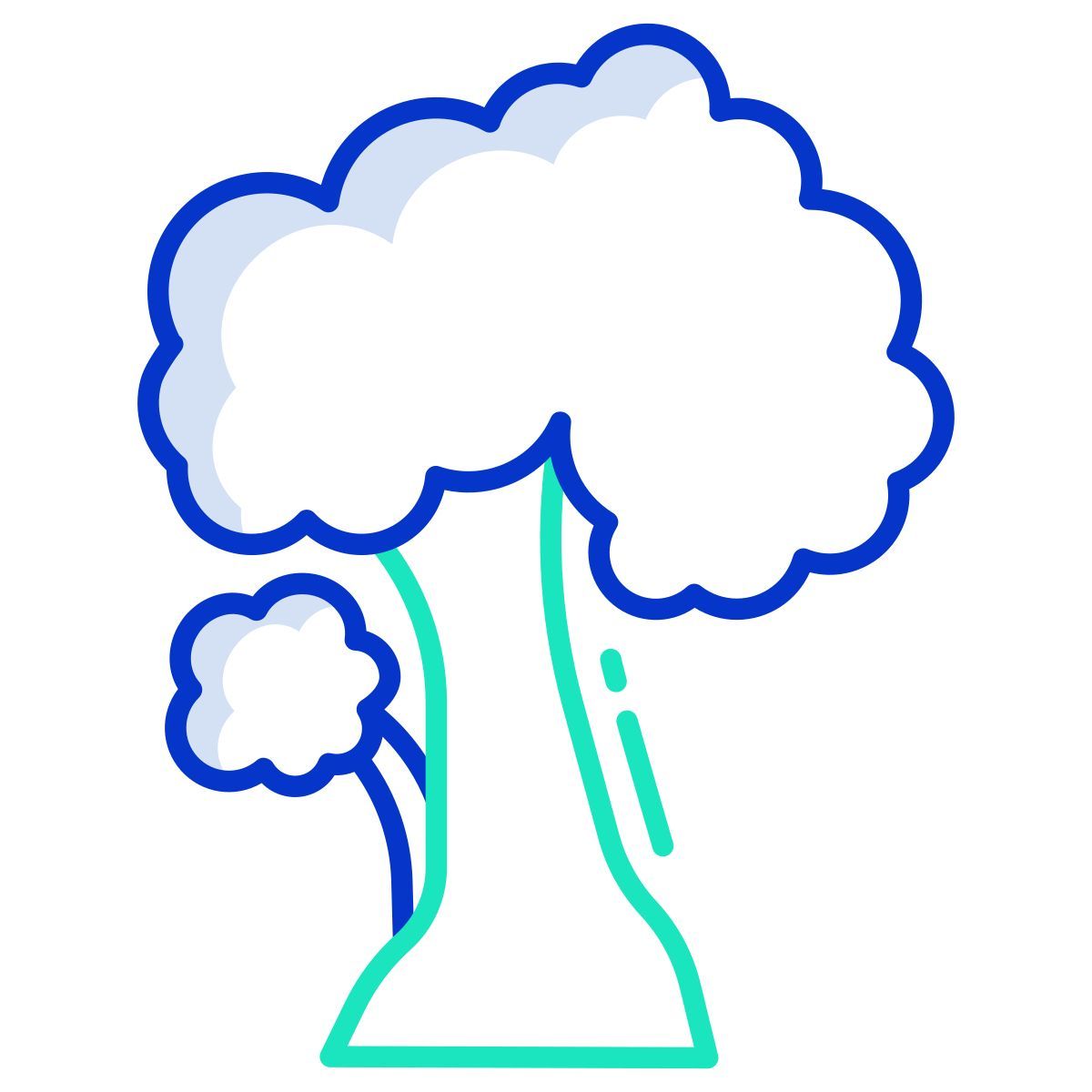 pignut hickory icon