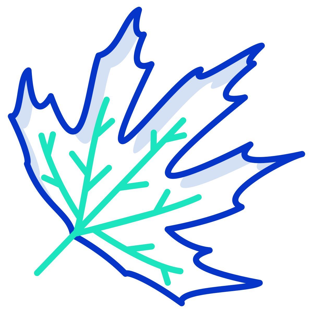 plane tree leaf icon