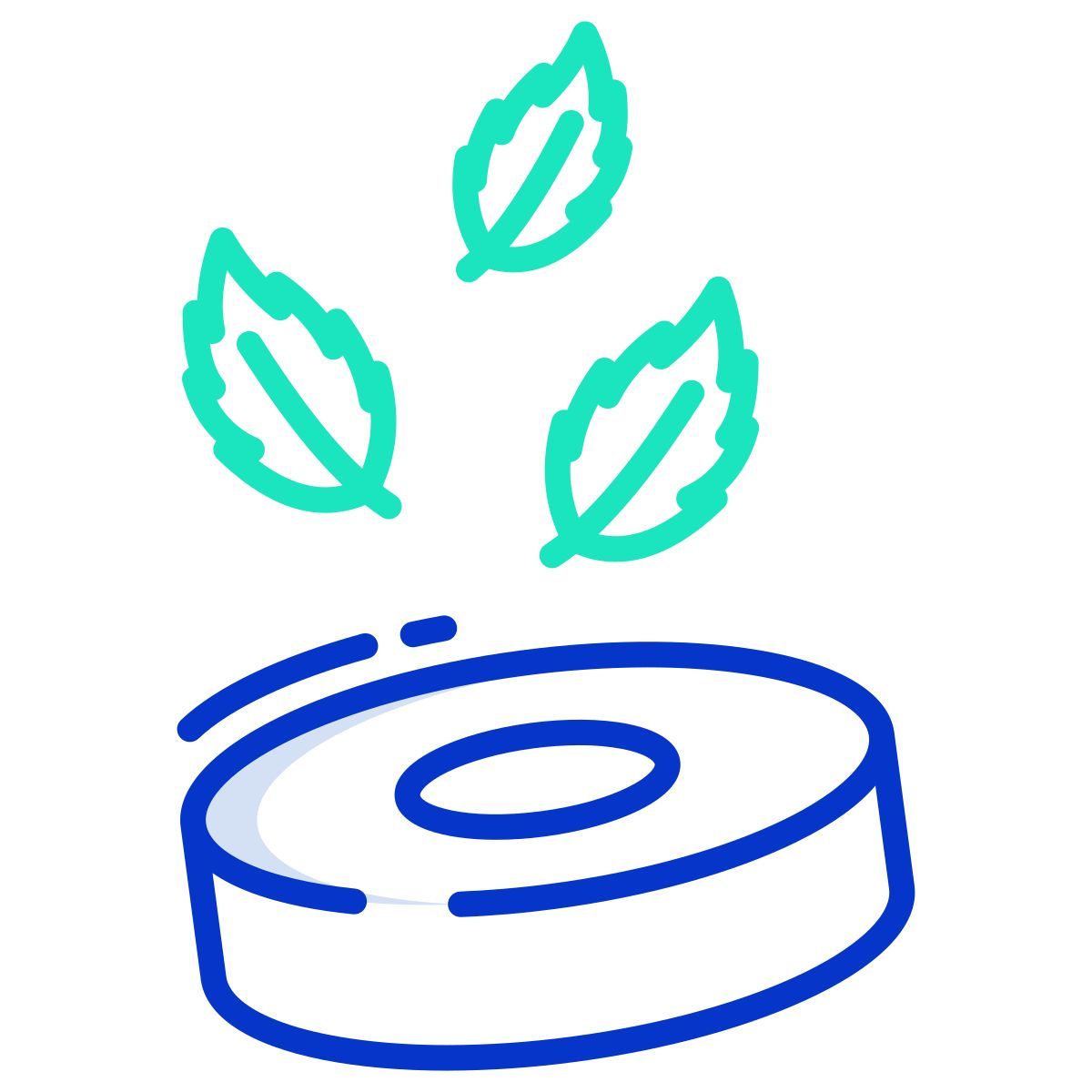 polo mint icon
