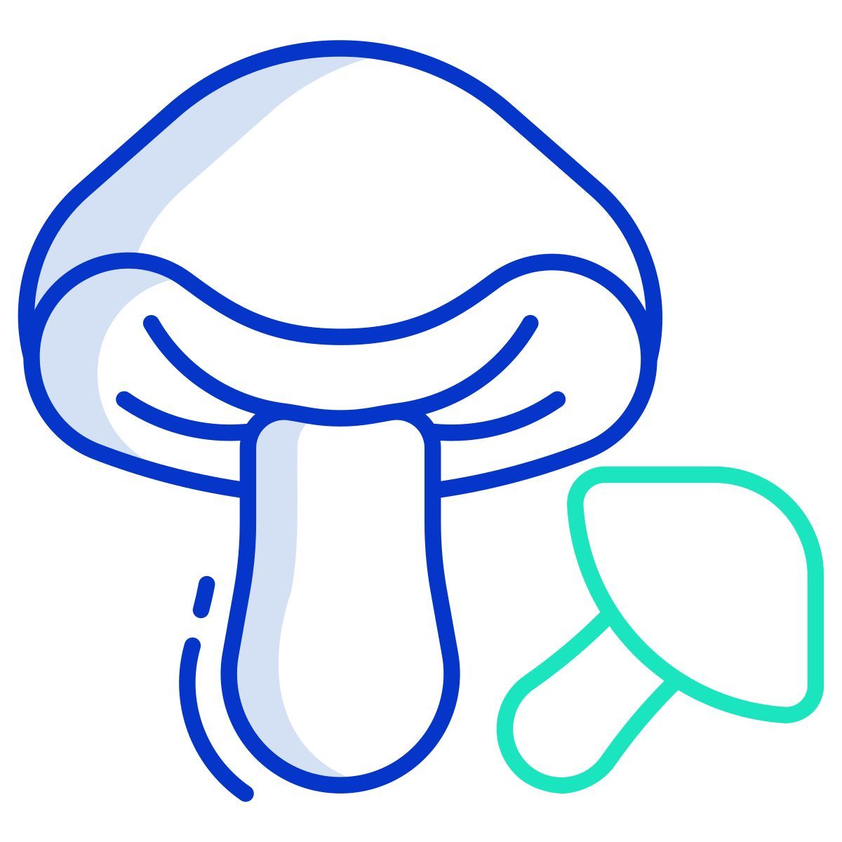 porcini mushroom icon