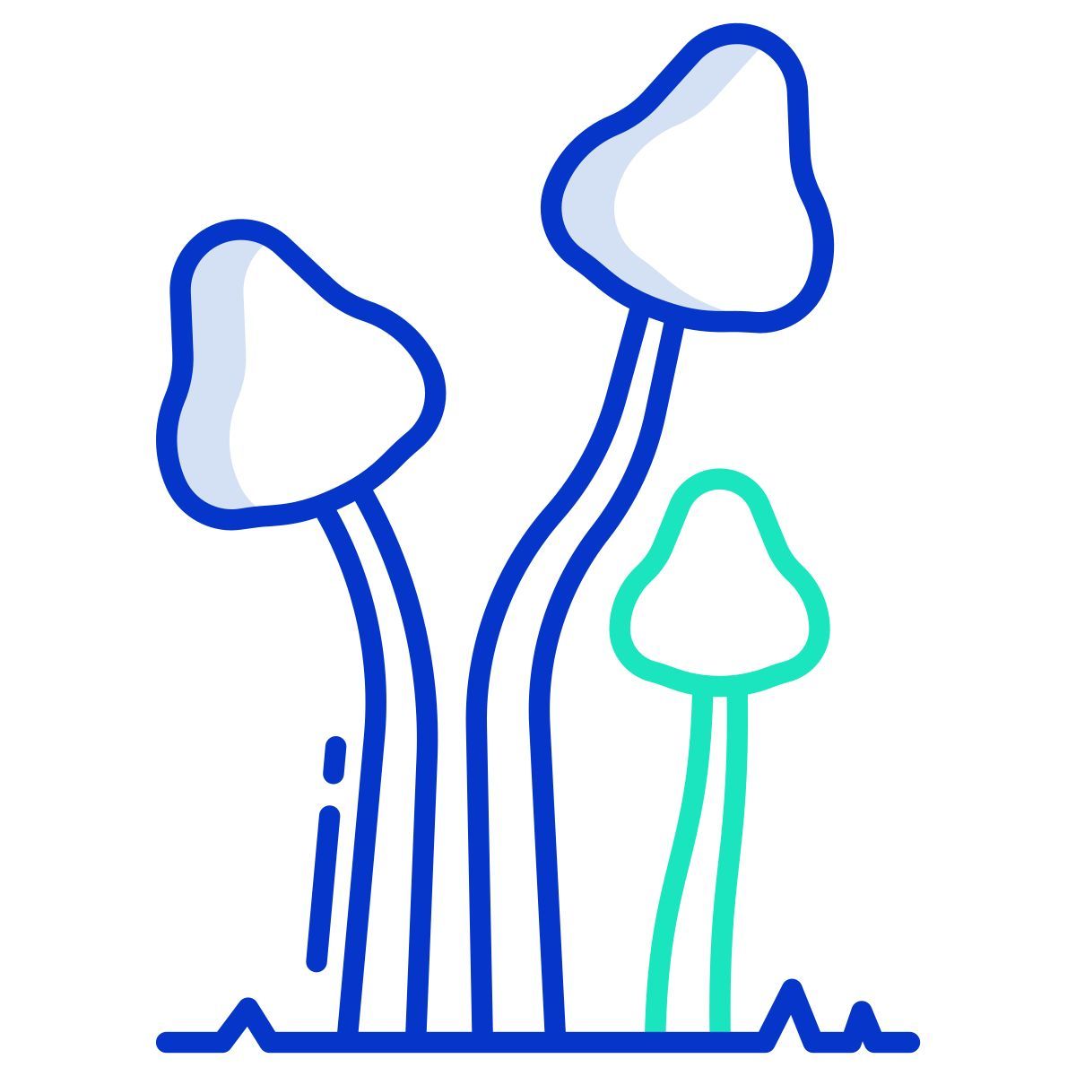 psilocybe semilanceata icon