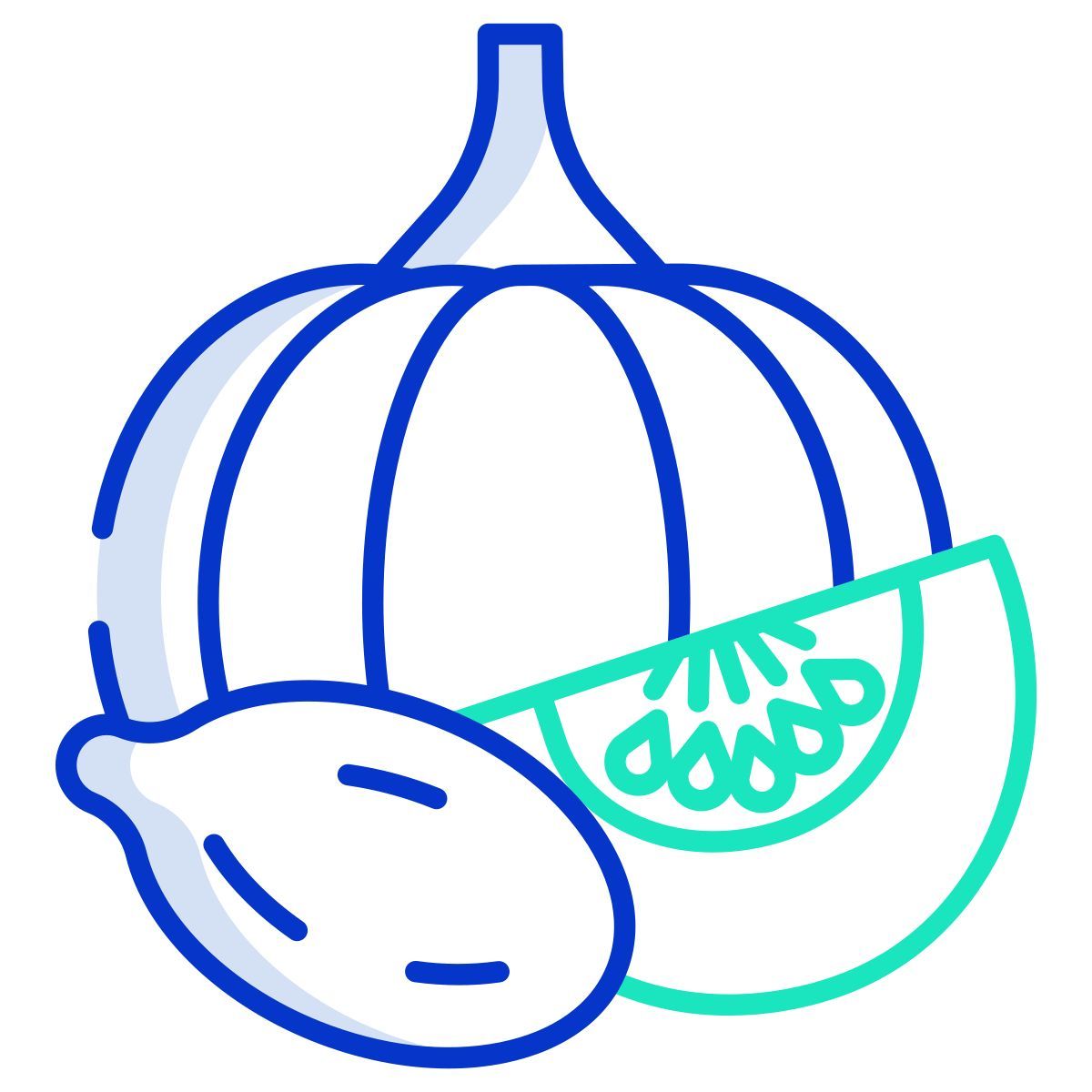 abóbora e noz moscada icon