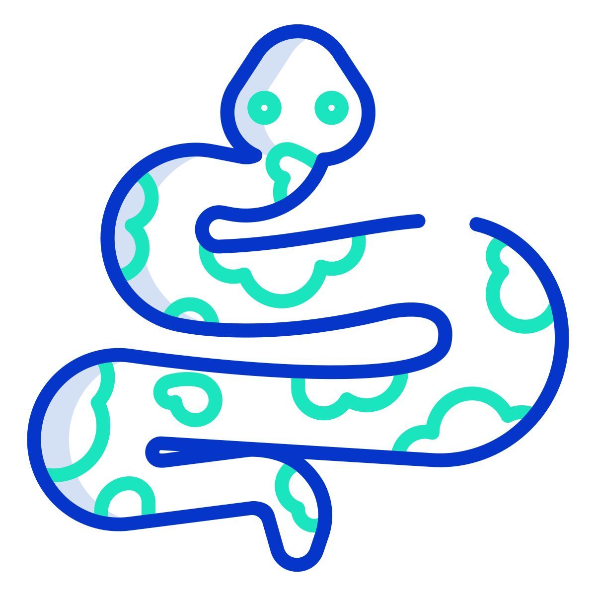python icon