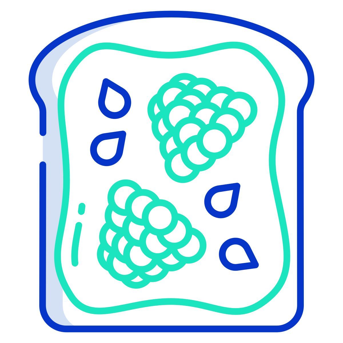 raspberry toast icon
