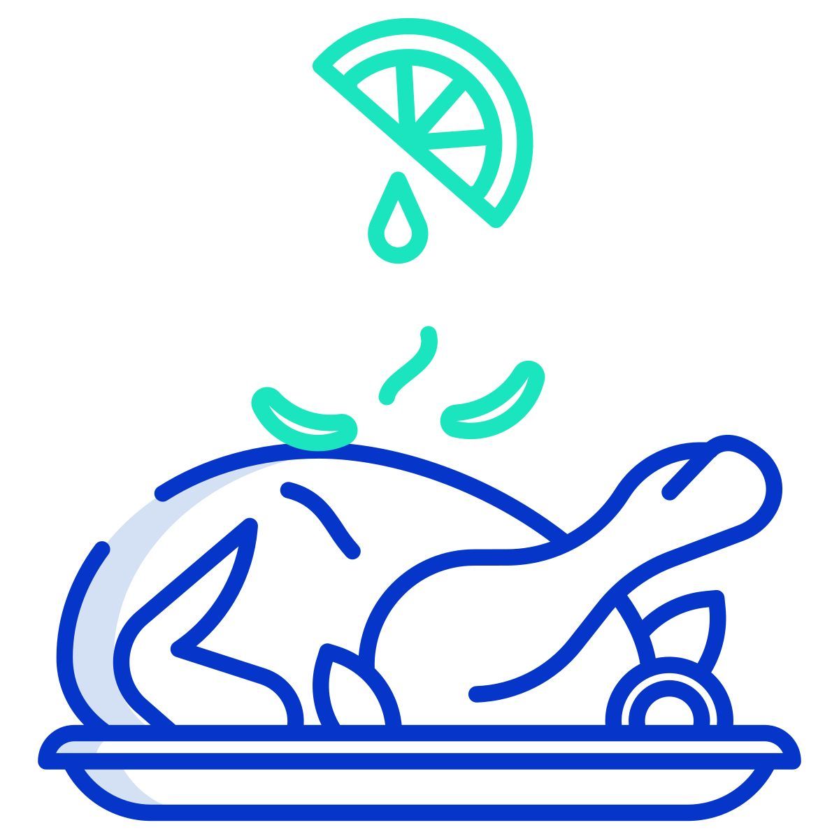roasted turkey icon
