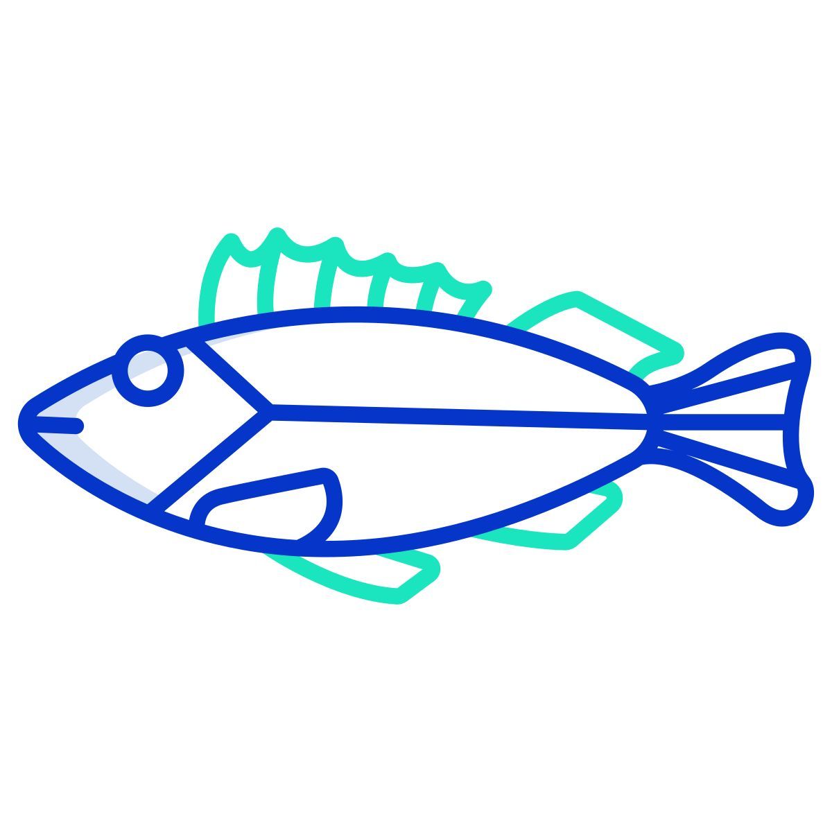 rock fish icon