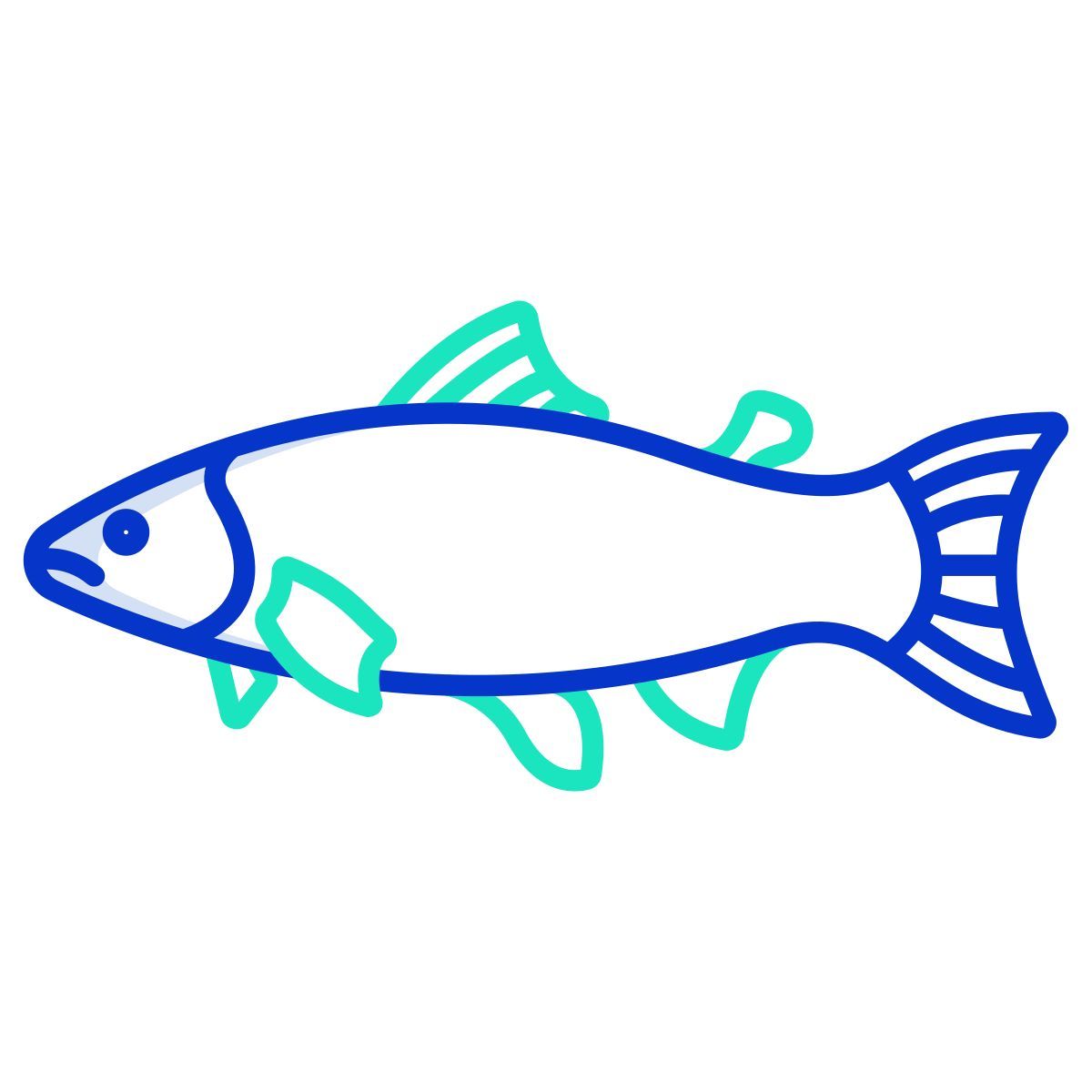 salmon fish icon
