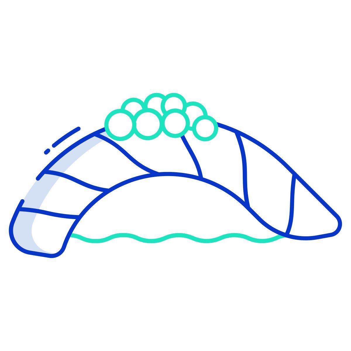 sushi sashimi icon
