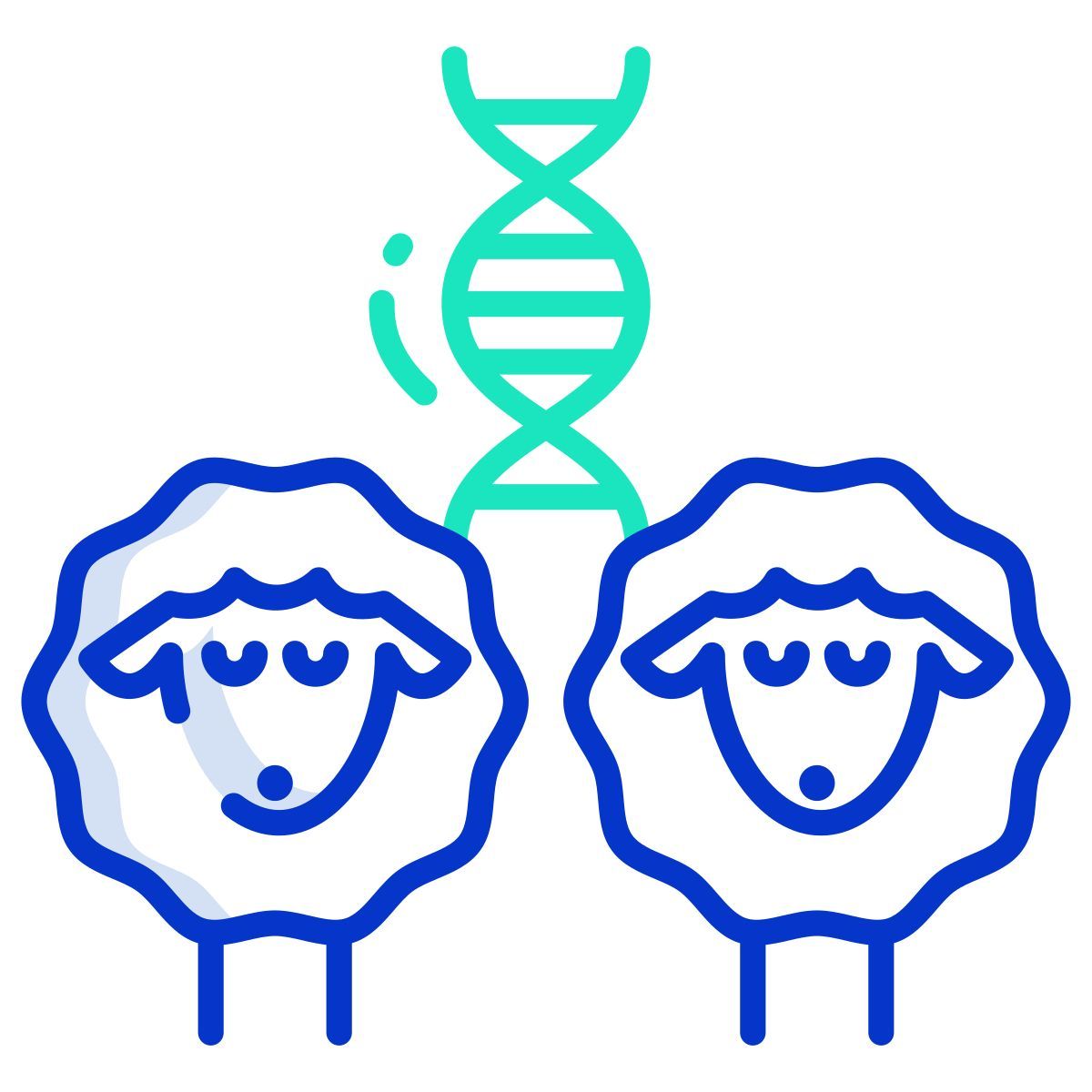 dna di pecora icon