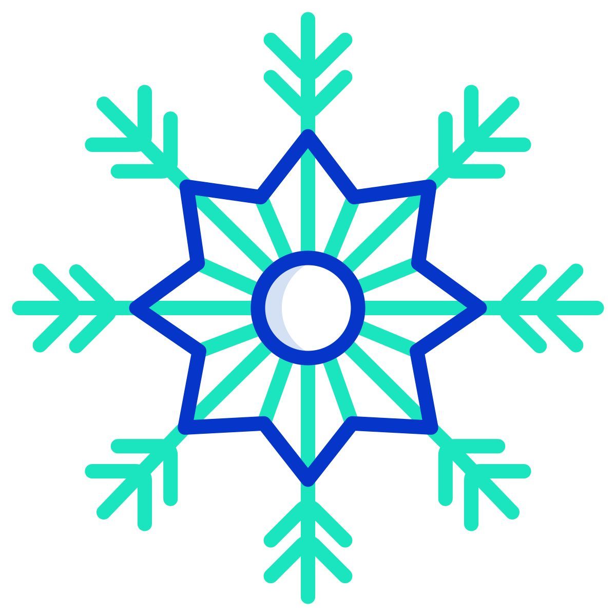 snowflake icon