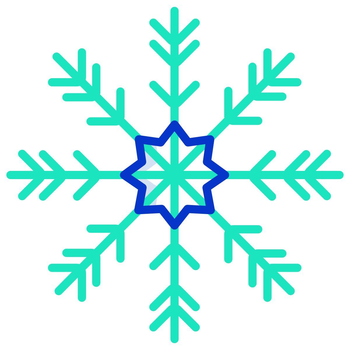 snowflake icon