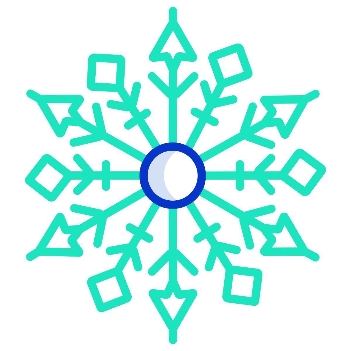 snowflake icon