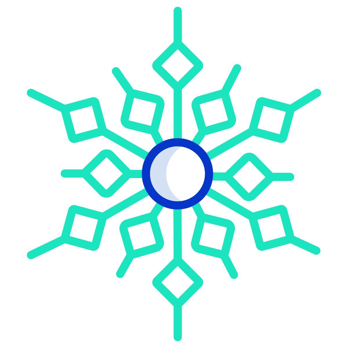 snowflake icon